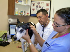 Dr. Corona & Assistant with Max
