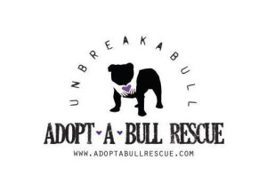 A Dog Rescue Organization