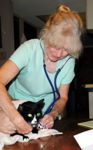 Iris, the cat, with Dr. Juday