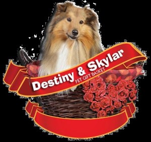 LOGO.DESTINY.SKYLAR